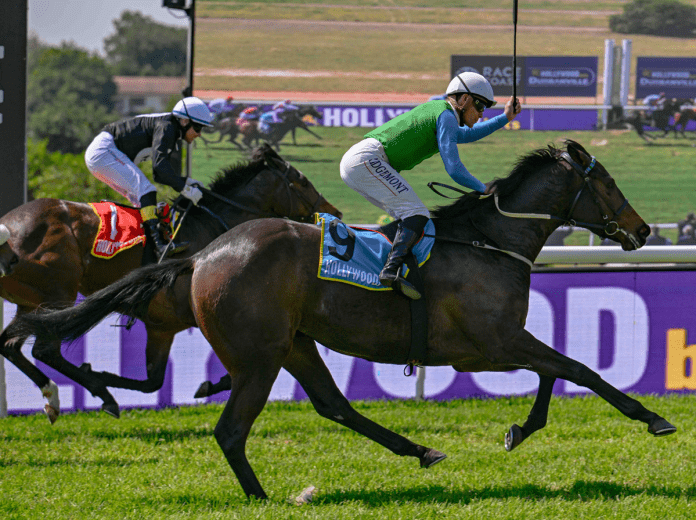 REET PETITE “丽特小宝”