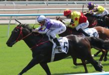 “官金骐”再放异彩