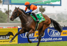 Slytherin to snake out his opposition