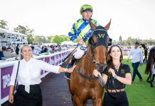 The Colours Behind the Favourite: The Remarkable Backstory of Watch Me Rock