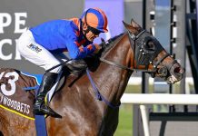 “谍对谍”再觅良机