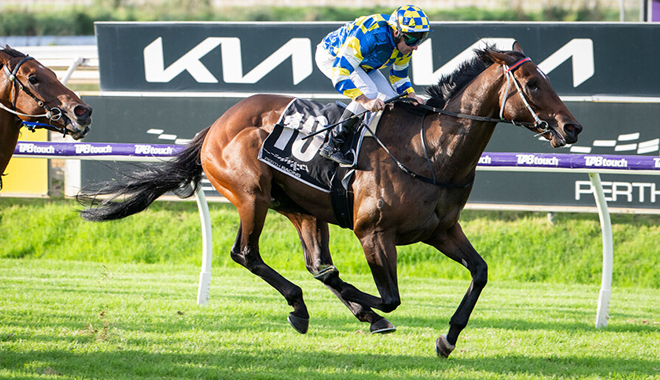 jokersgrin_660x380westernracepix