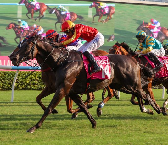 ”安遇“扬威莎莎妇女银袋 桂福特首夺港分级赛