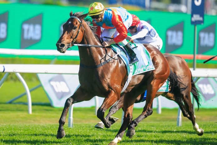 Randwick Race Day - The Everest: