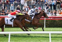 Rubylot aims to pinch Sa Sa Ladies’ Purse at Sha Tin on Sunday