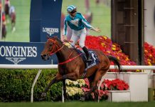 Hometown heroes Romantic Warrior, Ka Ying Rising, Voyage Bubble top LONGINES Hong Kong International Races selected horses featuring 22 Group 1 winners