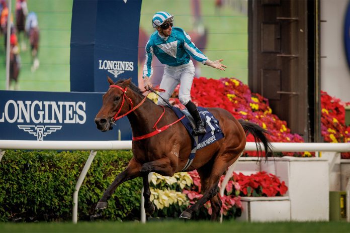 rpic1-20251126-ROMANTIC-WARRIOR