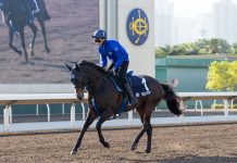 LONGINES HKIR Track Notes – Tuesday, 9 December, 2025