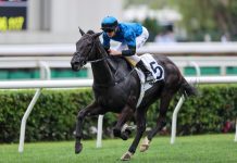 “一定超”渐入佳境