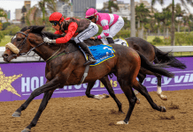 Green Glow to spring to light