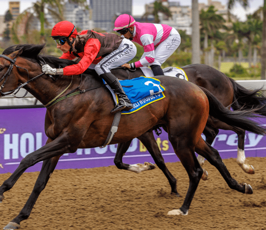 “绿辉光彩”再放异彩