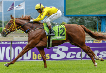 I’m A Fireball can set course alight