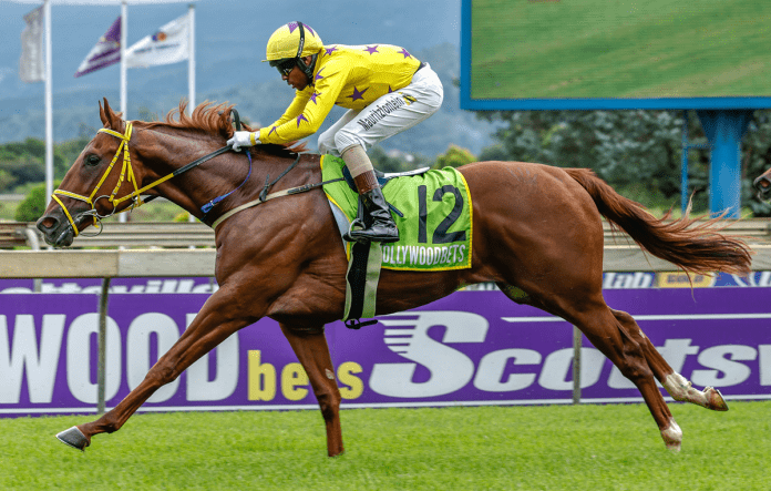 IM-A-FIREBALL - Candiese Lenferna