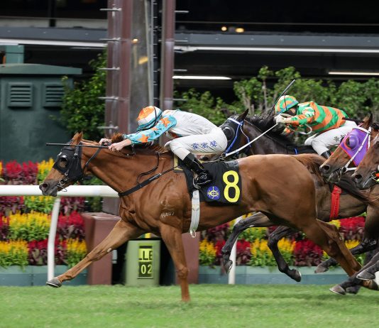 “胜多多”连捷在望