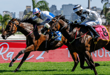 Ladyofdistinction to prove her class