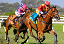 Verdict goes to Legal Counsel