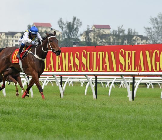 金杯对决一触即发