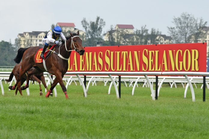 Piala Emas Sultan-STC