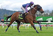 “白金丰收”卷土重来