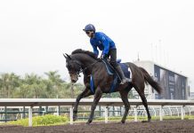 Soul Rush To Carry A Swagger In Hong Kong Mile