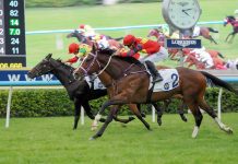 Harry Bentley continues strong season aboard Hong Lok Golf