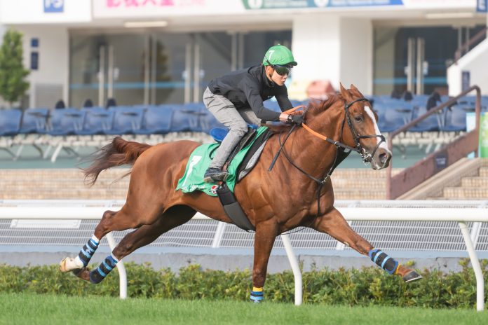 pic1-20251213_UrbanChic