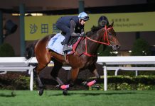 Romantic Warrior oozing confidence for G1 LONGINES Hong Kong Cup