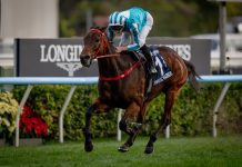 Romantic Warrior rewrites history with fourth straight LONGINES Hong Kong Cup