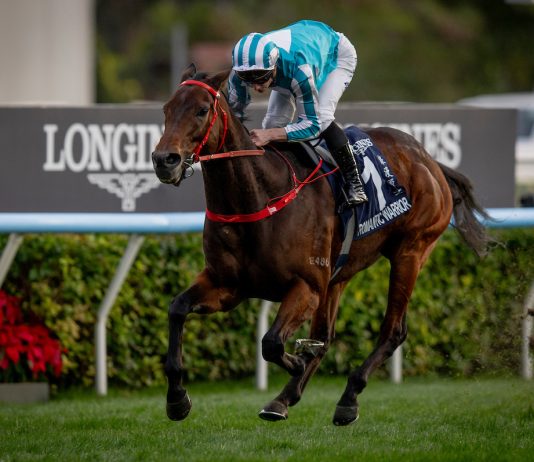 “浪漫勇士”再创历史新一章 连续第四年摘下浪琴香港杯