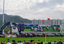 2025 Hong Kong International Races Review