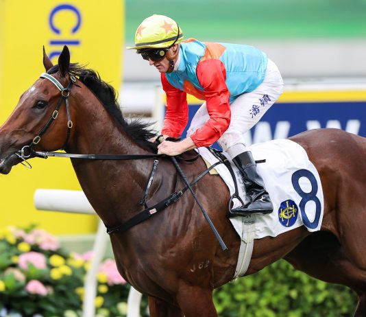 “嘉应高升”备战浪琴香港国际赛事作最后快操表现 让大卫希斯大表满意