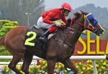 “庄家二六”东山再起