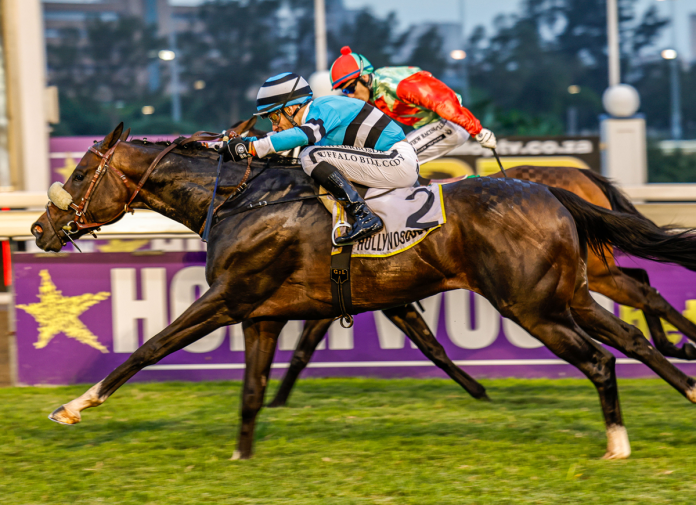 CATS-PAJAMAS - Candiese Lenferna