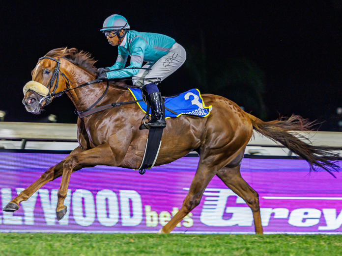 Circumbendibus - Candiese Lenferna