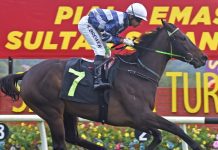 “华山论剑”再接再厉