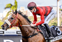 Jan Van Goyen Goes For The Throne