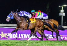 “面具”称霸大局