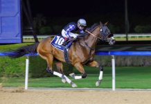 全球一级赛群星云集 美丹“时尚星期五”巅峰对决