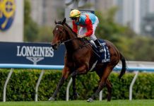 大卫希斯对“嘉应高昇”扬威百周年纪念短途杯信心十足