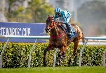 “浪漫勇士”轻取对手扬威董事杯 向囊括三冠大赛目标进发