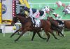 Newnham arms four-pronged attack on Hong Kong Classic Mile