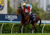 David Hayes supremely confident with Ka Ying Rising ahead of G1 Centenary Sprint Cup