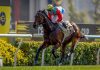 Hayes eyes Sha Tin 1400m record after Ka Ying Rising’s historic G1 Centenary Sprint Cup romp