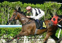 “花好月盈”重振雄风