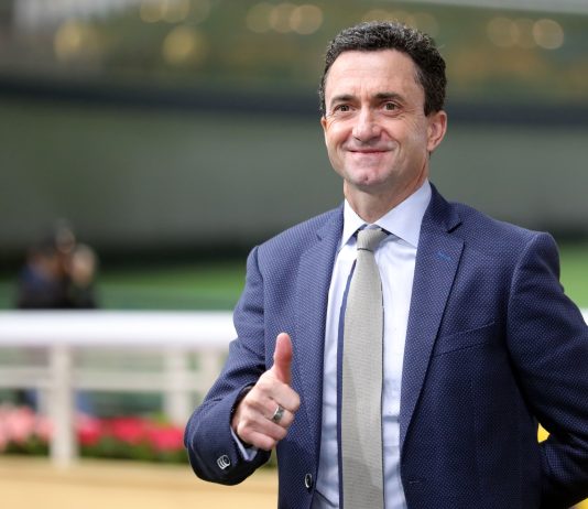 “踏雪寻梅”蓄势待发