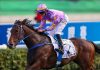 Little Paradise aims to continue sparkling run in Hong Kong Classic Cup