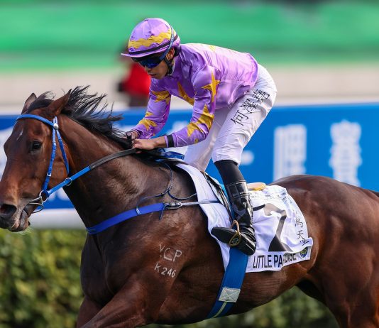 Little Paradise aims to continue sparkling run in Hong Kong Classic Cup