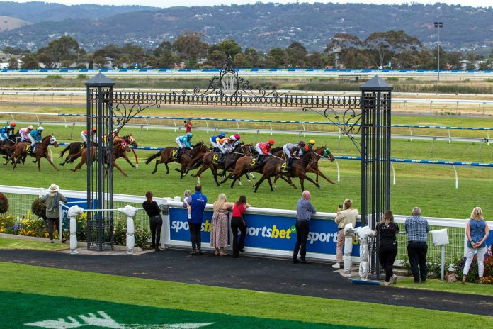 Morphettville1