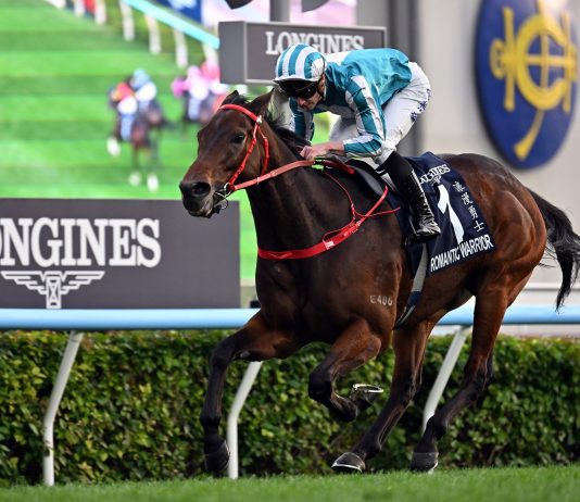 Romantic Warrior Ready For Gold