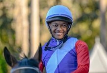 “放手一掠”振翅高飞